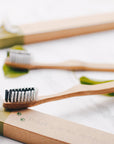 Cepillos de Dientes de Bambú