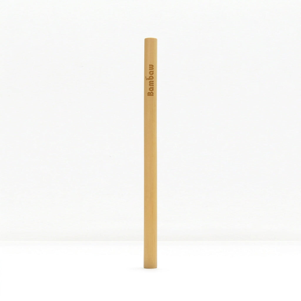 Single bamboo straw centered against a white background